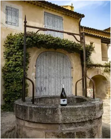 CHATEAU LA FONT DES ORMES