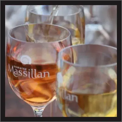 DOMAINE MASSILAN