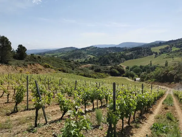 DOMAINE BERNATAS