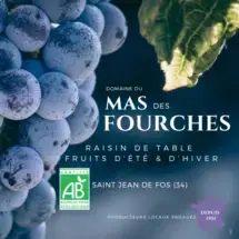 MAS DES FOURCHES