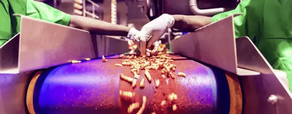 Alimentation ultra-transformée : La grande tromperie Alimentation ultra-transformée : La grande tromperie